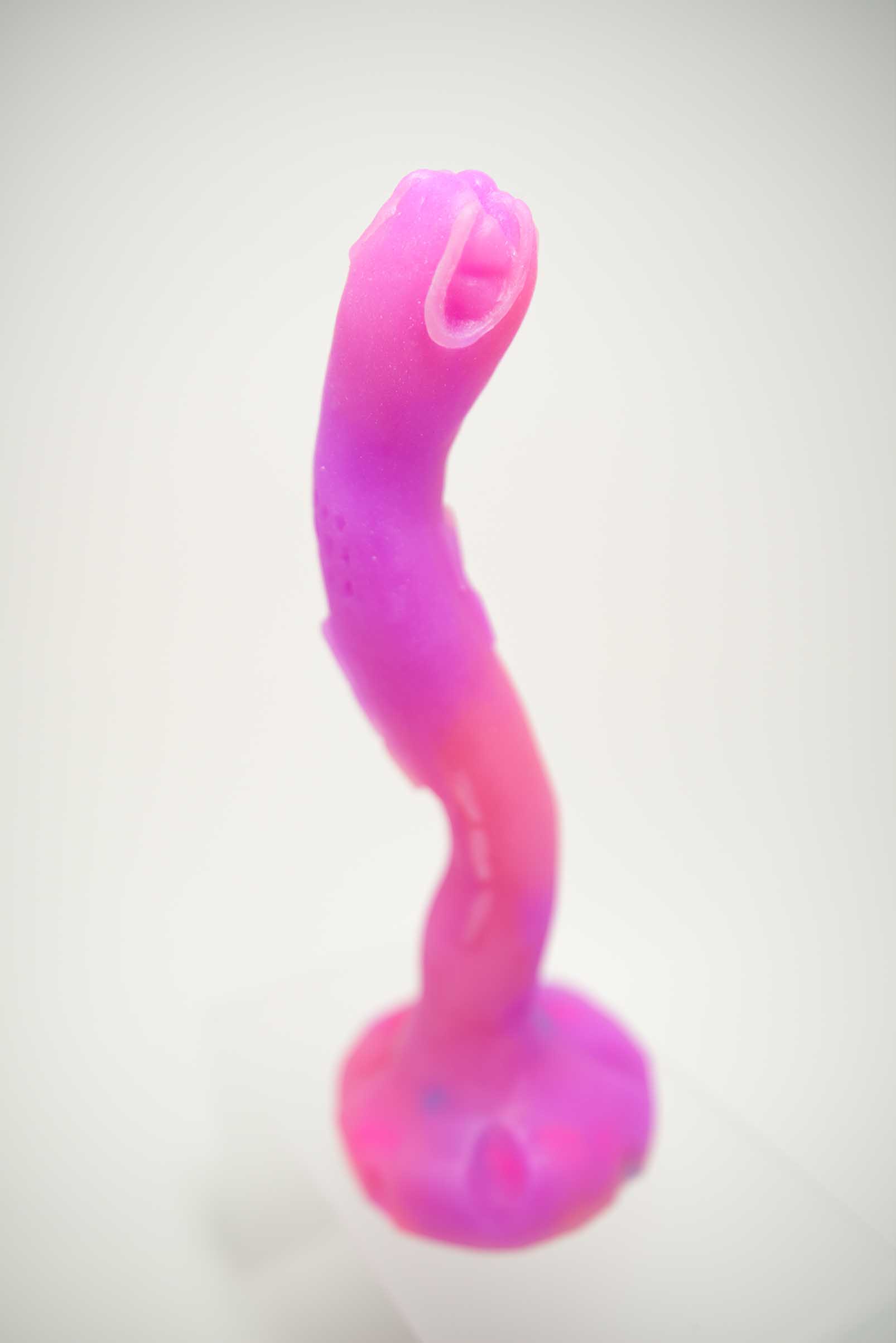 DSC_1313